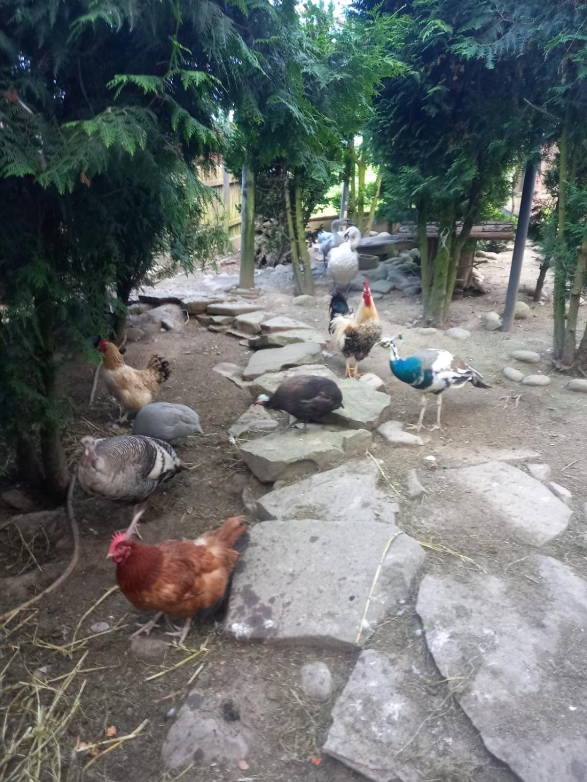 Koperkowe Rancho Beskid Wyspowy Domek Malopolskie Kamionna Kamionna  Bagian luar foto