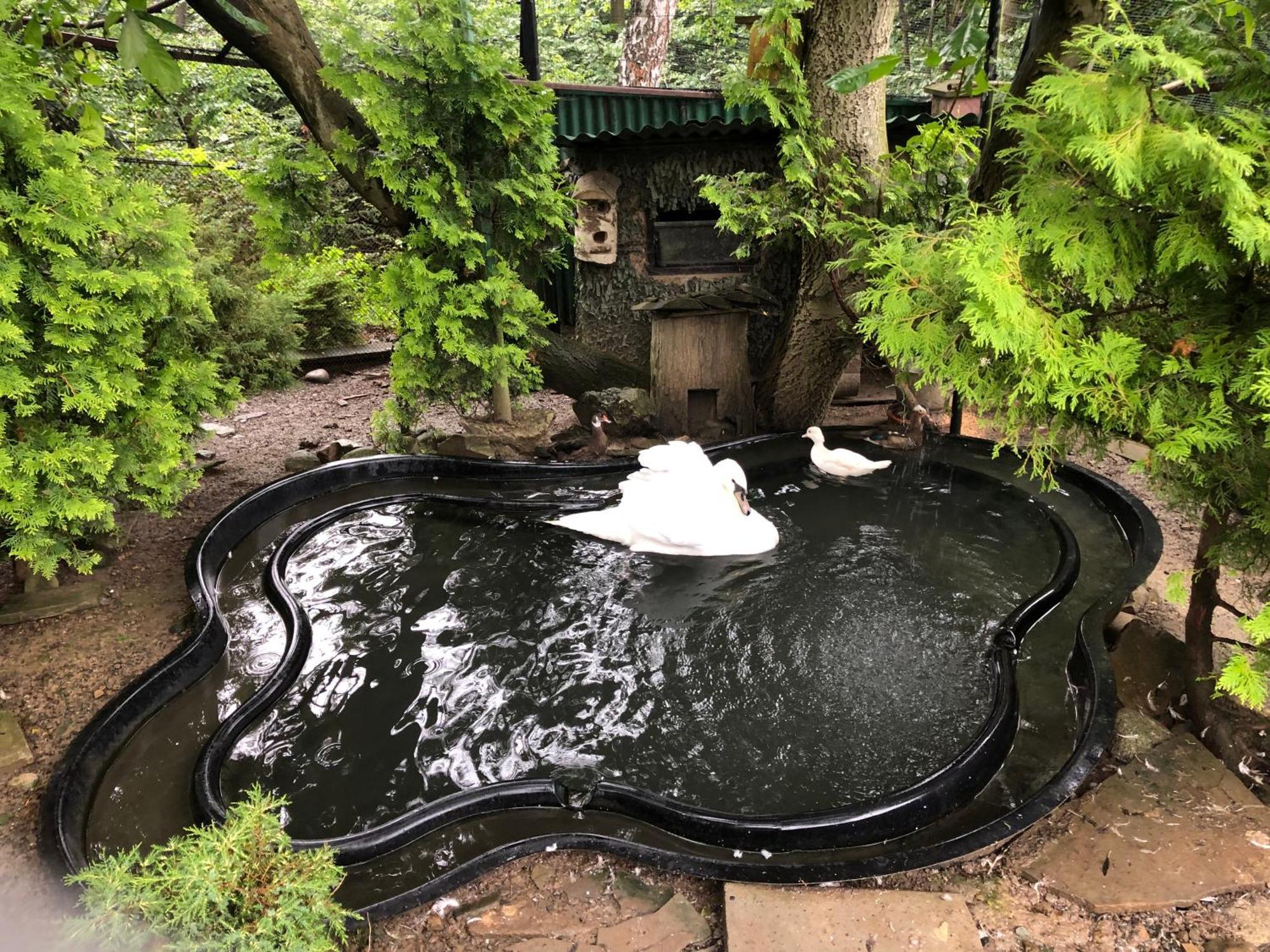 Koperkowe Rancho Beskid Wyspowy Domek Malopolskie Kamionna Kamionna  Bagian luar foto