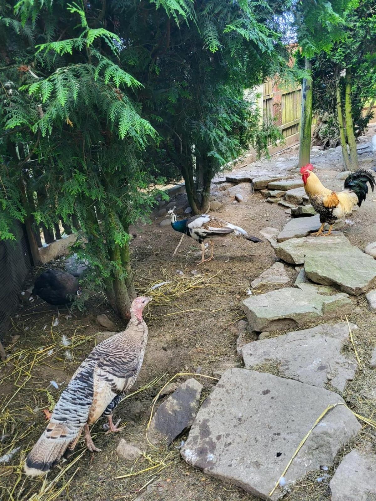 Koperkowe Rancho Beskid Wyspowy Domek Malopolskie Kamionna Kamionna  Bagian luar foto