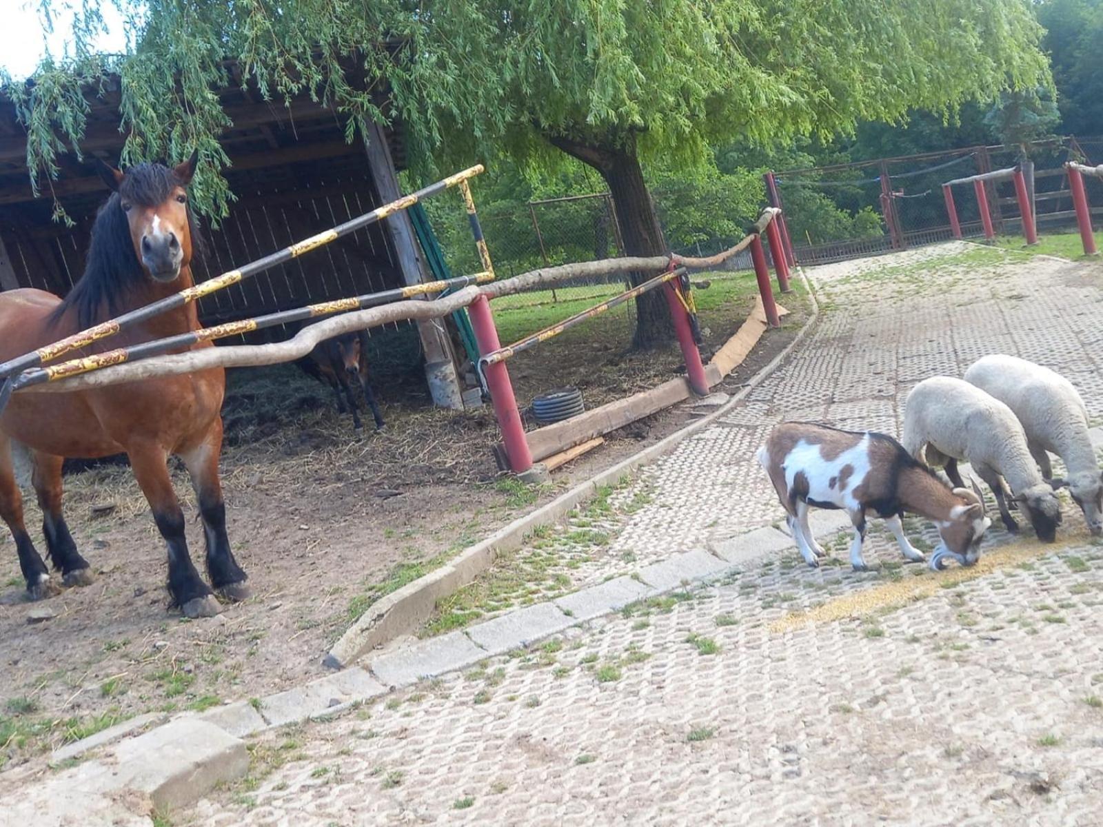 Koperkowe Rancho Beskid Wyspowy Domek Malopolskie Kamionna Kamionna  Bagian luar foto
