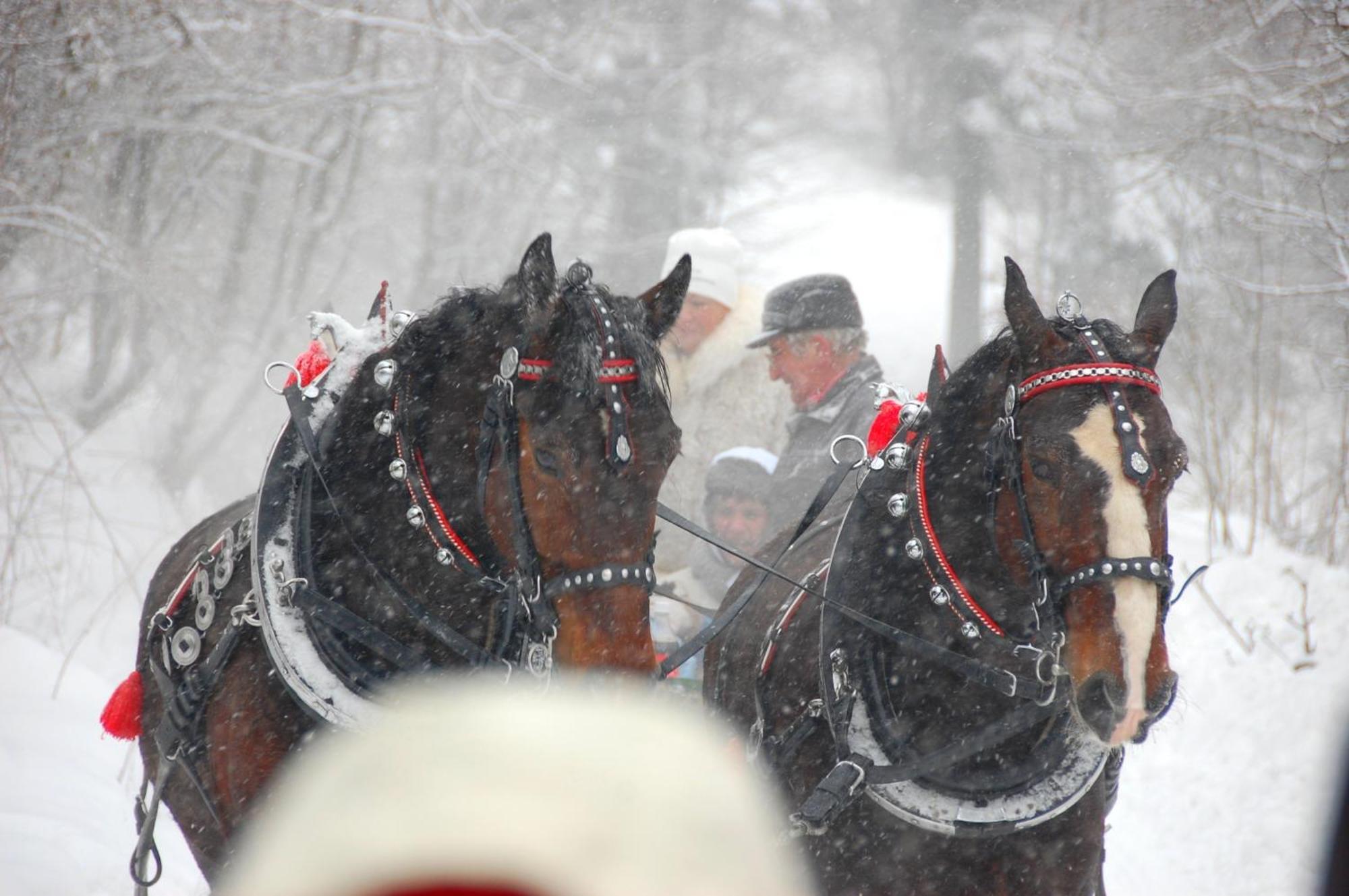 Koperkowe Rancho Beskid Wyspowy Domek Malopolskie Kamionna Kamionna  Bagian luar foto